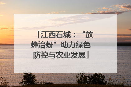 江西石城：“放蜂治蚜”助力绿色防控与农业发展