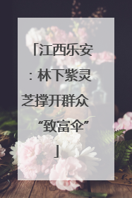 江西乐安：林下紫灵芝撑开群众“致富伞”