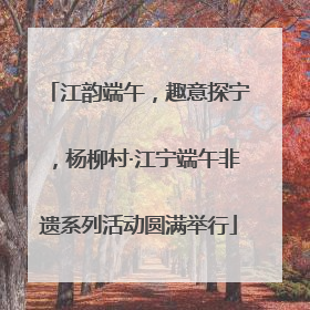 江韵端午，趣意探宁，杨柳村·江宁端午非遗系列活动圆满举行