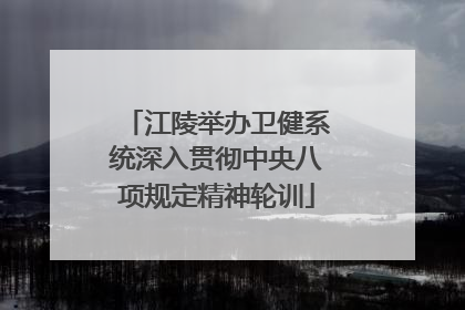 江陵举办卫健系统深入贯彻中央八项规定精神轮训