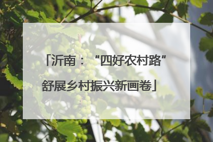 沂南：“四好农村路”舒展乡村振兴新画卷