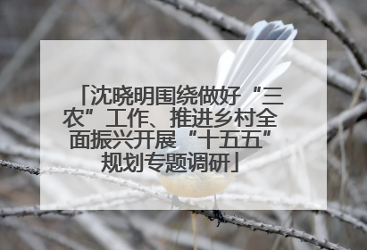 沈晓明围绕做好“三农”工作、推进乡村全面振兴开展“十五五”规划专题调研