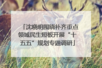 沈晓明围绕补齐重点领域民生短板开展“十五五”规划专题调研