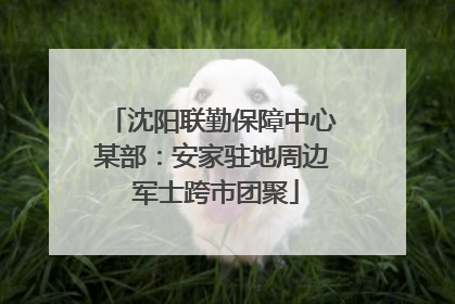 沈阳联勤保障中心某部：安家驻地周边 军士跨市团聚