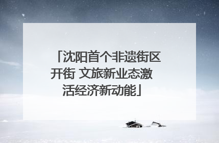 沈阳首个非遗街区开街 文旅新业态激活经济新动能