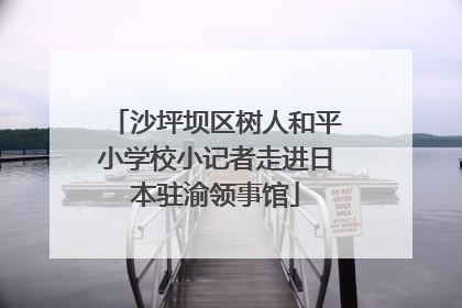 沙坪坝区树人和平小学校小记者走进日本驻渝领事馆