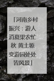 河南乡村振兴：游人消夏果农忙秋 黄土塬变游园处处皆风景