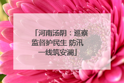 河南汤阴：巡察监督护民生 防汛一线筑安澜