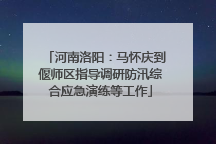 河南洛阳：马怀庆到偃师区指导调研防汛综合应急演练等工作