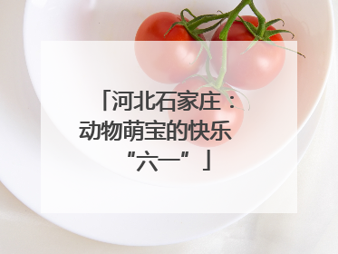 河北石家庄：动物萌宝的快乐“六一”