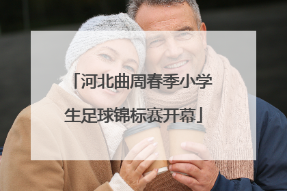 河北曲周春季小学生足球锦标赛开幕