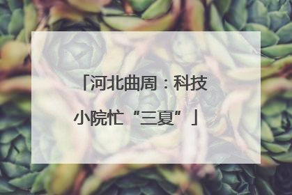 河北曲周：科技小院忙“三夏”