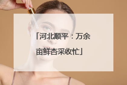 河北顺平：万余亩鲜杏采收忙