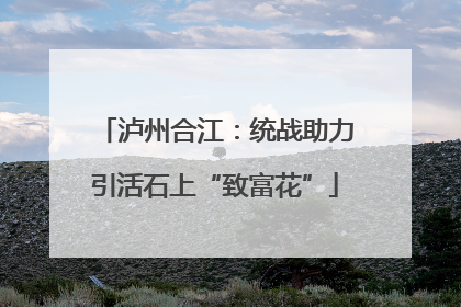泸州合江：统战助力引活石上“致富花”