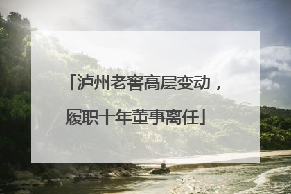 泸州老窖高层变动，履职十年董事离任