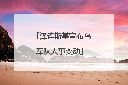 泽连斯基宣布乌军队人事变动