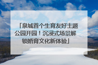 泉城首个生育友好主题公园开园！沉浸式场景解锁婚育文化新体验