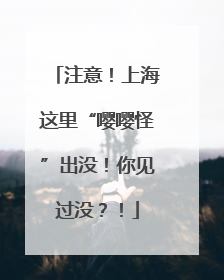 注意！上海这里“嘤嘤怪”出没！你见过没？！