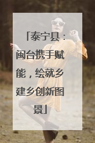 泰宁县：闽台携手赋能，绘就乡建乡创新图景