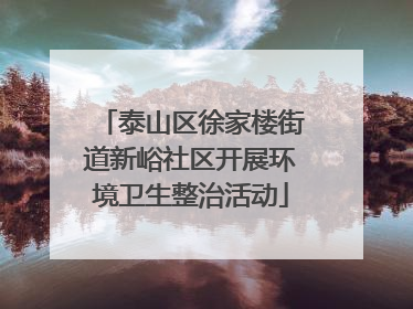 泰山区徐家楼街道新峪社区开展环境卫生整治活动