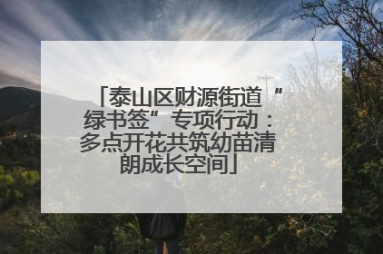 泰山区财源街道“绿书签”专项行动：多点开花共筑幼苗清朗成长空间