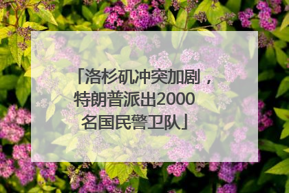 洛杉矶冲突加剧，特朗普派出2000名国民警卫队