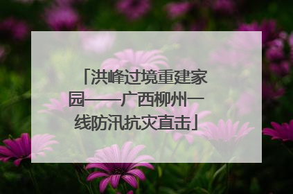 洪峰过境重建家园——广西柳州一线防汛抗灾直击
