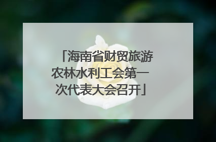 海南省财贸旅游农林水利工会第一次代表大会召开