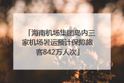 海南机场集团岛内三家机场暑运预计保障旅客842万人次
