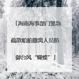 海南海事部门紧急疏散船舶撤离人员防御台风“蝴蝶”