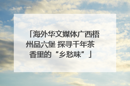 海外华文媒体广西梧州品六堡 探寻千年茶香里的“乡愁味”