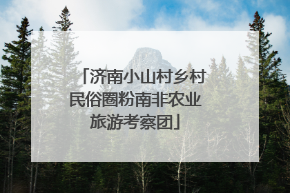 济南小山村乡村民俗圈粉南非农业旅游考察团