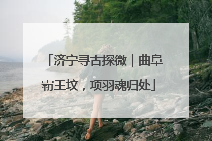 济宁寻古探微｜曲阜霸王坟，项羽魂归处