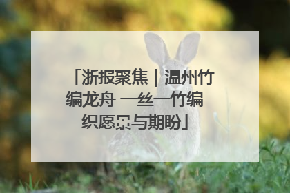 浙报聚焦｜温州竹编龙舟 一丝一竹编织愿景与期盼