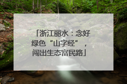 浙江丽水：念好绿色“山字经”，闯出生态富民路