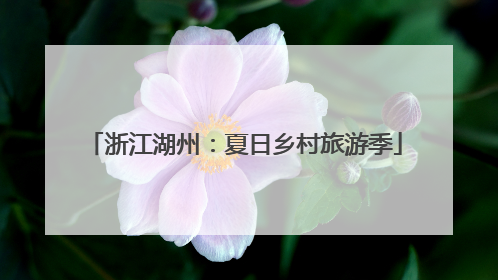 浙江湖州：夏日乡村旅游季