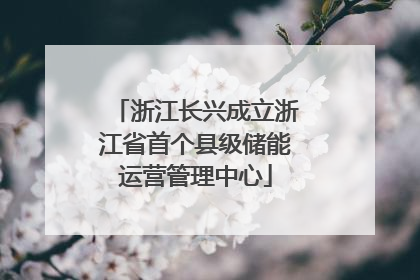 浙江长兴成立浙江省首个县级储能运营管理中心