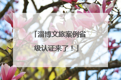 淄博文旅案例省级认证来了！