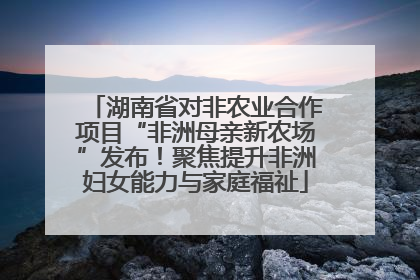 湖南省对非农业合作项目“非洲母亲新农场”发布！聚焦提升非洲妇女能力与家庭福祉