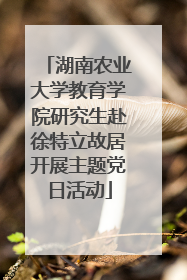 湖南农业大学教育学院研究生赴徐特立故居开展主题党日活动
