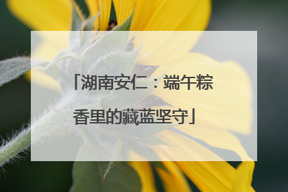 湖南安仁：端午粽香里的藏蓝坚守