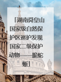 湖南舜皇山国家级自然保护区巡护发现国家二级保护动物——脆蛇蜥
