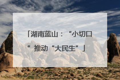 湖南蓝山：“小切口”推动“大民生”