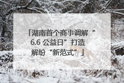 湖南首个商事调解“6.6 公益日”打造解纷“新范式”