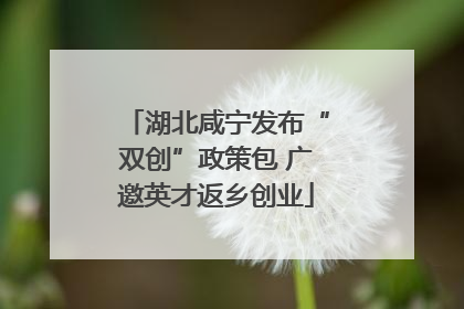 湖北咸宁发布“双创”政策包 广邀英才返乡创业