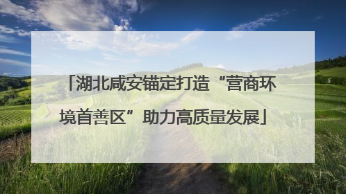 湖北咸安锚定打造“营商环境首善区”助力高质量发展