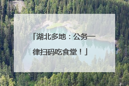 湖北多地：公务一律扫码吃食堂！