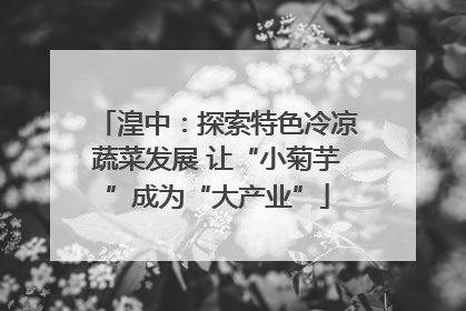 湟中：探索特色冷凉蔬菜发展 让“小菊芋”成为“大产业”