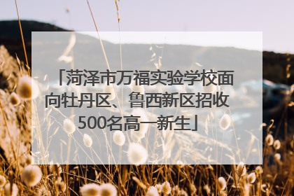 菏泽市万福实验学校面向牡丹区、鲁西新区招收500名高一新生