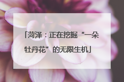 菏泽：正在挖掘“一朵牡丹花”的无限生机